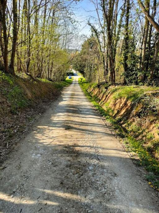 Seigy *Gite Aux Grappes Du Pressoir* A 2 Km De Beauval מראה חיצוני תמונה