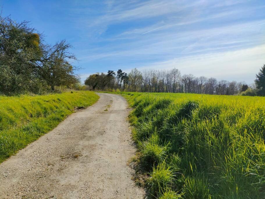 Seigy *Gite Aux Grappes Du Pressoir* A 2 Km De Beauval מראה חיצוני תמונה